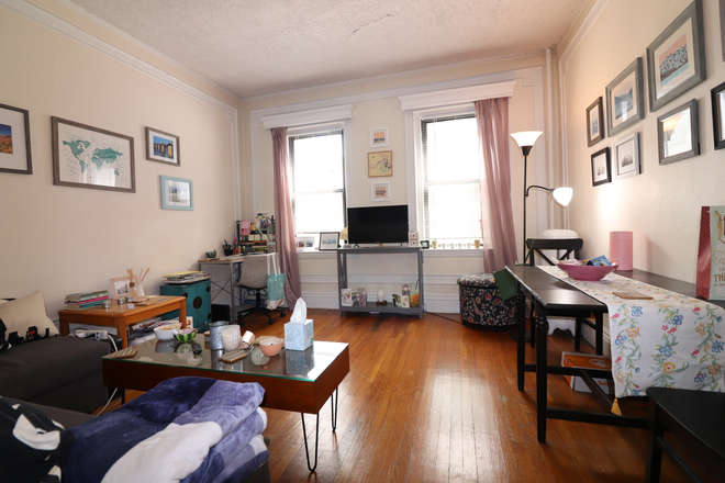 living room - Sunny Pet Friendly Comm Ave 1 bed for 8/1 - NO FEE! Apartments