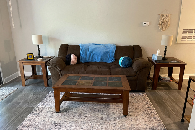 Living Room - Private apartment for lease takeover near campus