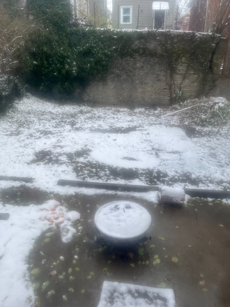 backyard - 2328 flora street House