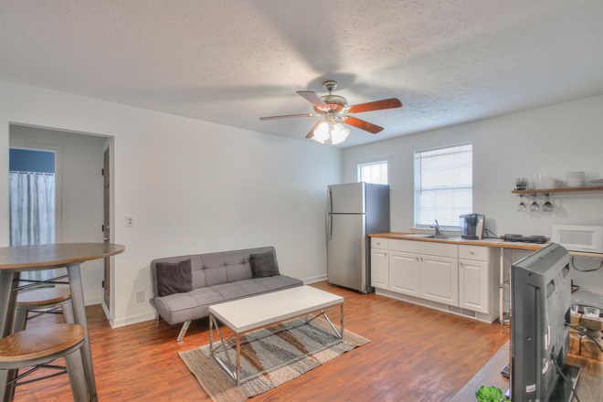 Living Room/Efficiency Kitchen - One Bedroom Furnished Apartment Walking Distance To Vanderbilt Campus