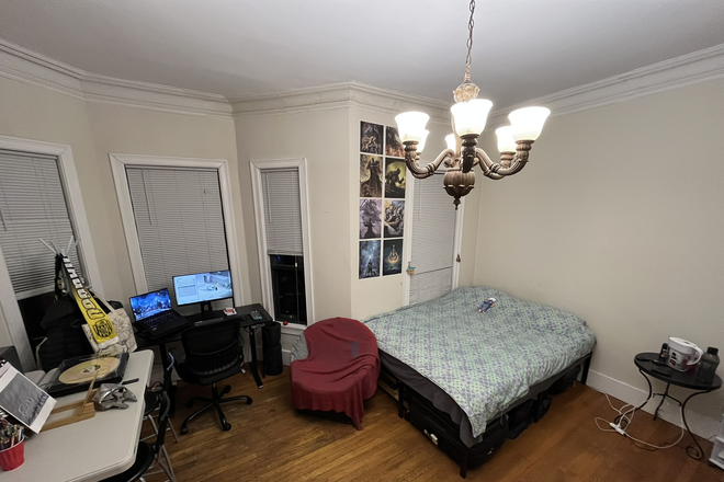 Room - Spacious Room in Mission Hill – Near Northeastern & Green Line E (Brigham Circle)