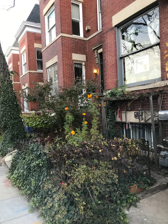 Front House - Adams Morgan- English Basement One Bedroom. Renovated. Washer/Dryer. Central Air/Heat. Fenced Yard.