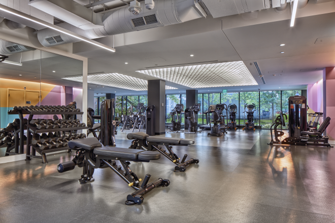 Gym - Fully furnished 3 Bed 1 Bathroom on HBS Campus Apartments