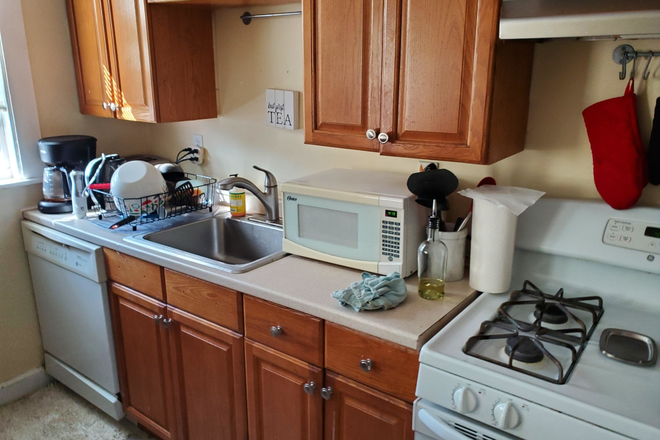 . - GORGEOUS 3 bed / 1 bath with parking - avail 8/1/2025 Apartments