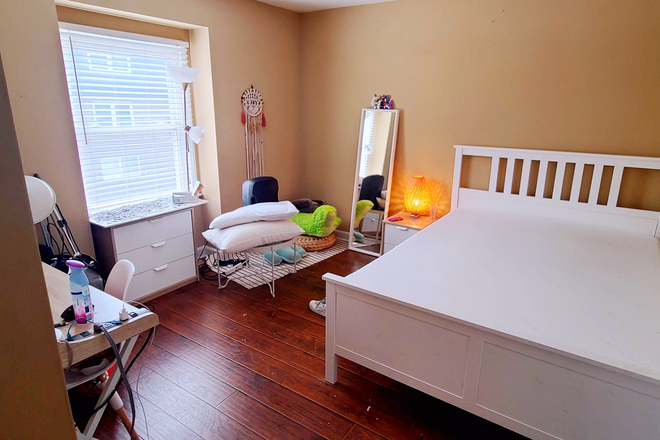 bedroom 3 - 3b2b apartment walk to campus Harwood