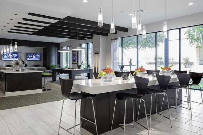 entertainment - Muse at Museum District Apartments