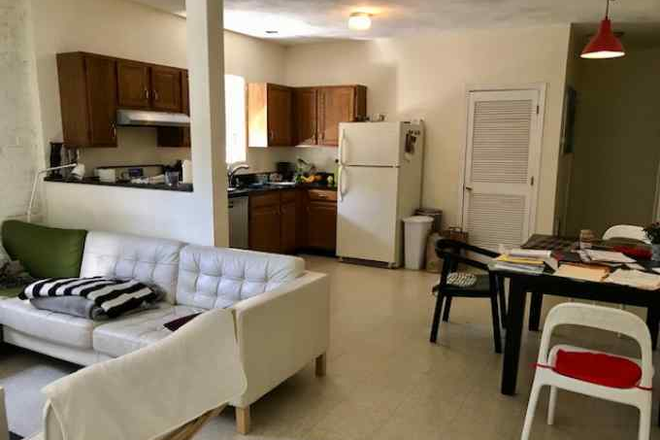 living - No fee ! renovated, spacious, sunny, in heart of Central sq, Apartments