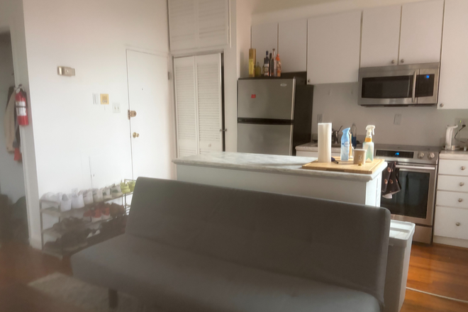 Living Room and Kitchen - Logan Circle- 913 M St. NW. (9th & M St.NW)- One Bed, One Bath. Renovated. $1875 One Block to Metro Apartments