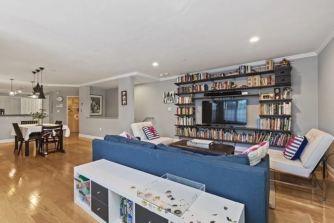 open concept first floor - Furnished apartment close to Davis and Porter Squares