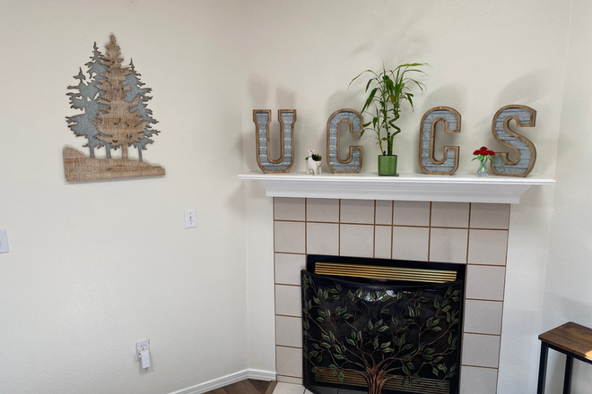 Gas Fireplace - Roommate Needed to Share AWESOME 5-BR/3 BA House with AWESOME roommates! Utilities included!