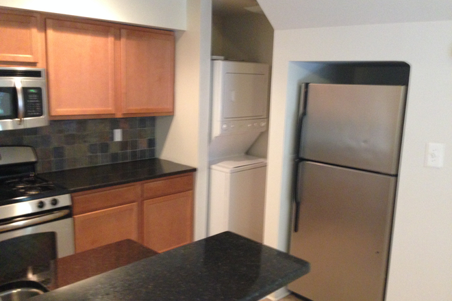 Kitchen - Large 4 Bedroom Apartment on Drexel Campus