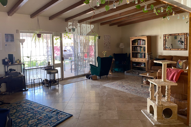 living room (1) - Shared House in Poet Square--Spacious & Cat-Friendly!