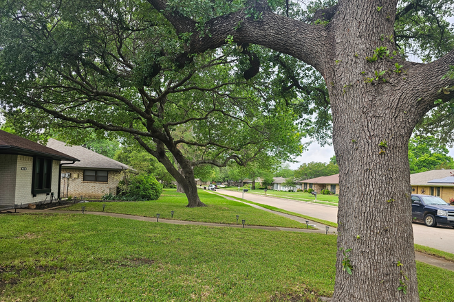 Tree - Private MOTHER IN LAW Apartments