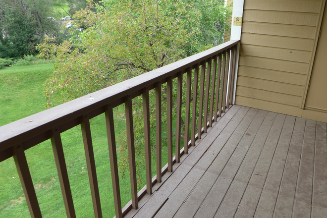 2 - August Preleasing: 2890 Shadow Creek Dr E310 Apartments