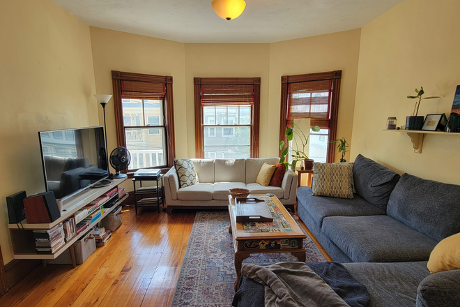 Living Room - Spacious 4-Bed, 2-Bath Bi-Level Apartment Near Porter & Davis Squares. In-unit W/D.