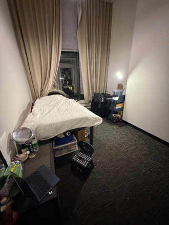 Bedroom Layout - Females! Summer Sublease! 0.2miles away from UIC East Campus! 800ft from Blue Line! 1Bed 1Bath Apartments