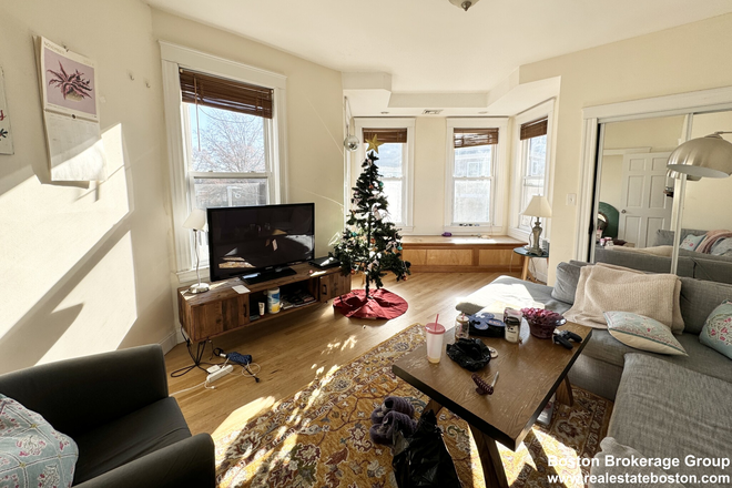 living room - Spacious 3 Bedroom in Mission Hill | Laundry in Unit | Dishwasher Condo