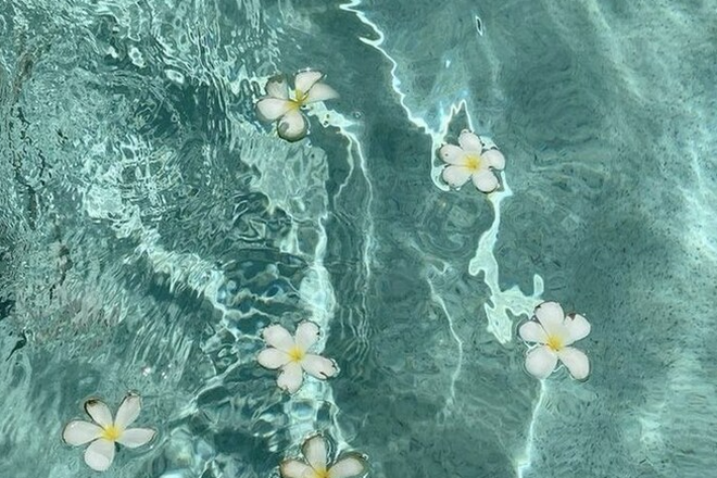 Photo - Marina Club Apartments