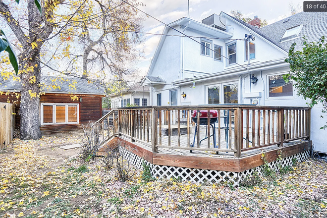 patio - The Igloo House