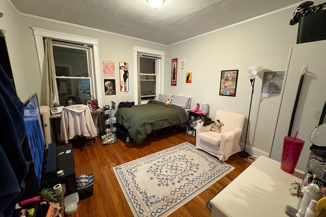Bedroom - Cozy Room in Allston