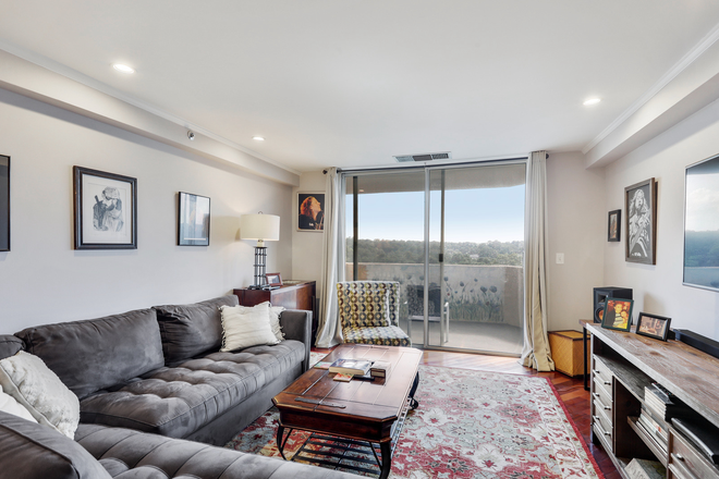Living Room - Somerset Heights - 15th Floor  - Renovated with Great City Views RENT INCLUDES UTILITIES 2BD 2BA Condo