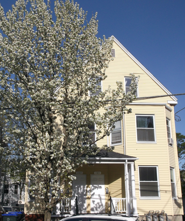 WestnFacade  Spring  Apple blossoms  Afternoon Sun - FURNISHED 4 bdrm APT 2025-2026  FREE Laundry IN APT Free: Wifi, Parking, TV, Grilling