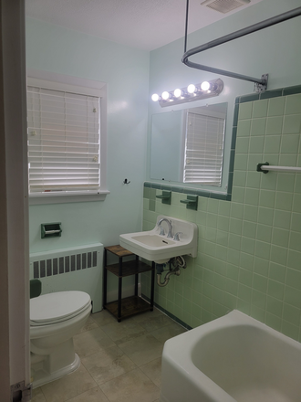 master bedroom full bathroom - Sublet & 2026/2027 school year-master BR, 1 min walk to WM, cat friendly Male full-time student House