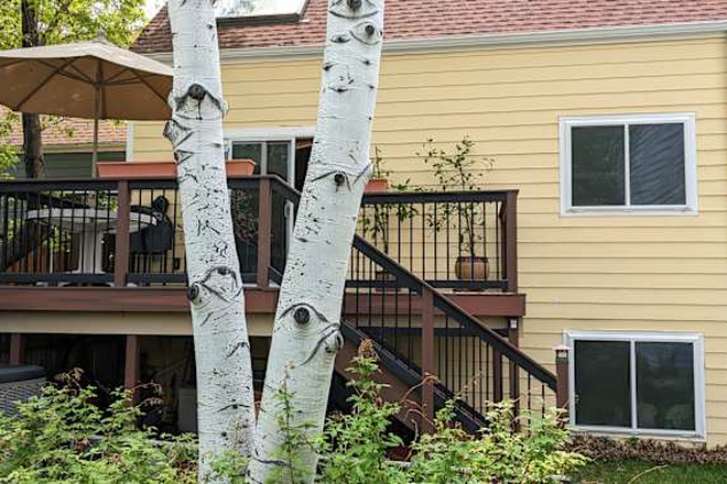 House from backyard - Full 2nd floor with 2 bedrooms and 1 bathroom in quiet Gunbarrel house for roommate(s)
