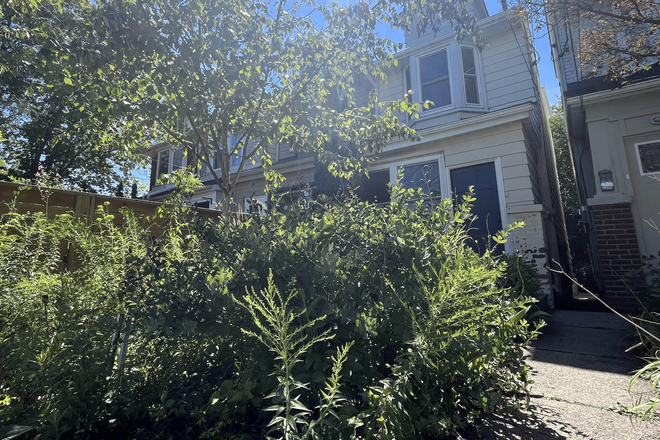 Front yard - Bright Furnished Basement in Renovated East End House! All Utilities Included