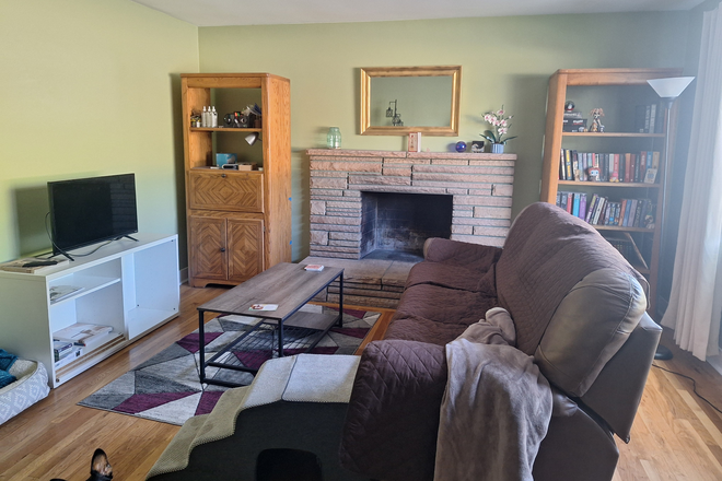 Living room - Room for rent in spacious 2-bed, 1-bath apartment near the U