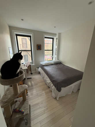 View of room (cat not included) - Bedroom in 2-Bed Apartment