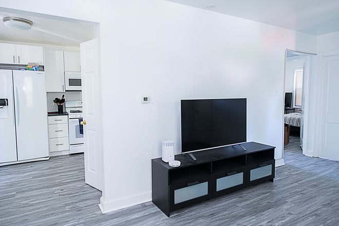 Living Room - Walk To Campus, Lidl, MOMS and more! Only 2 blocks away from the UMD Shuttle Stop! House