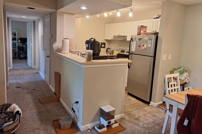 Kitchen, counter-top, hallway. Across from the fridge and stovetop are the sink and dishwasher and more counterspace. - Autumn Woods Apartments