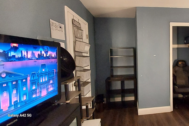 T.V. with Roku, fan, door organizer, storage shelves - Non-Smoking Private Room in a queer owned SHARED house with dogs.