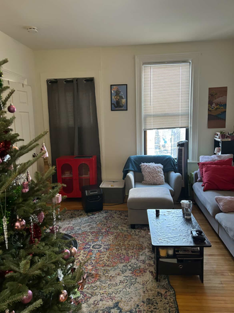 Living Room 1 - 2-bedroom apartment in Pilsen