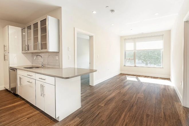 . - STUNNING, RENOVATED 3 BED / 2 BATH NEAR CAMPUS AVAIL. 9/1/26!! Apartments