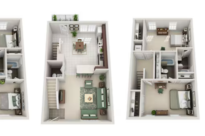 Layout - Copper beech