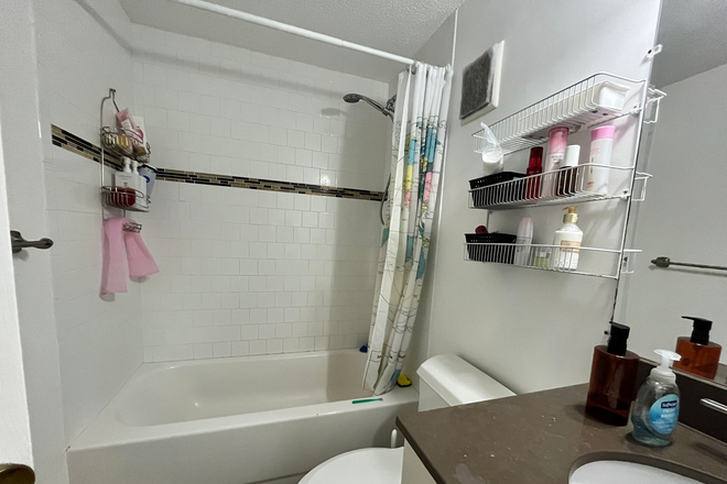 Bathroom - Summer Sublet Near Campus – Fully Furnished Apartments