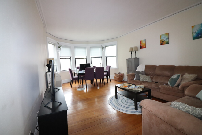 living room - Charming and sunny Brookline 2 bed for 9/1