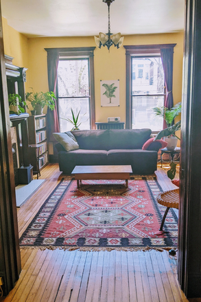 Living Room - One Bedroom near Tower Grove Park