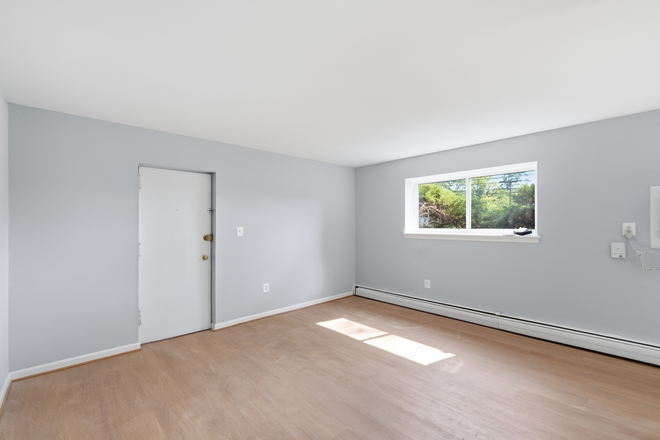Living Room - Brand New 1BR/1BA Near UMD | 7310 Columbia Ave - 1 House
