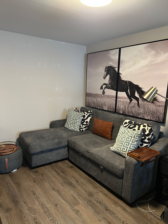 Living Room - Private furnished two-bedroom basement apartment close to UMD campus