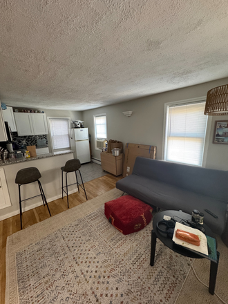 Living Room - Renovated Sunny 1 Bedroom Apartment In Near Kendall Square Within Walking Distance of Campus