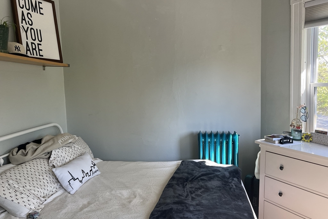 apartment - Umass/JFK/  2 bedroom Apartments