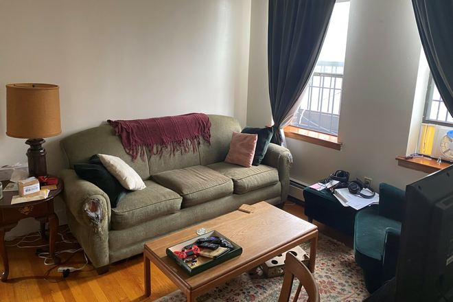 Living Room pic 1 - Subletting 1.5 Bedroom Apt in Jamaica Plain for July and August