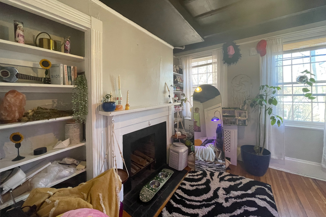 1 - SEPT 2026 – Updated Beacon Hill 1 Bed / 1 Bath with Heat Included, Pet Friendly! No Brok Apartments