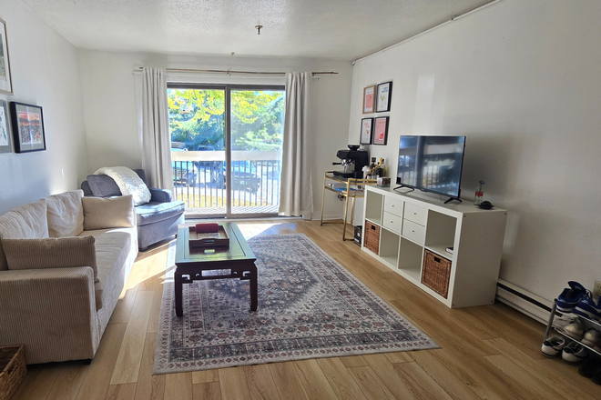 living room - 1 Block to UVM Green RENOVATED. SPRING 2026 SUBLET walk to UVM Condo