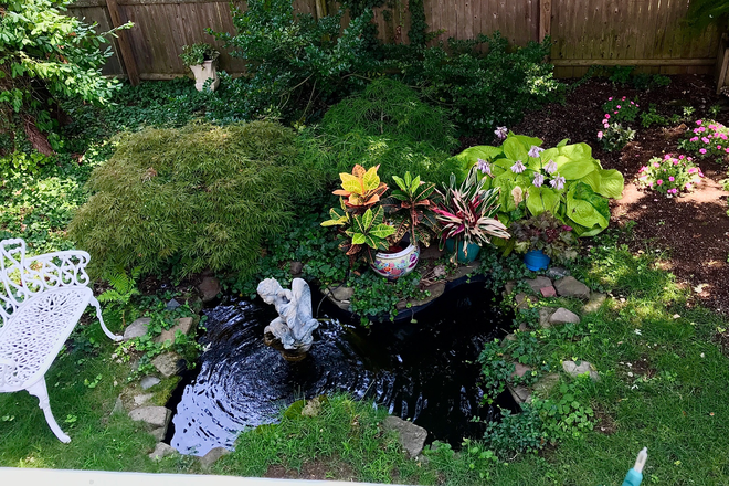 Garden - 3rd Floor apartment in Victorian Home