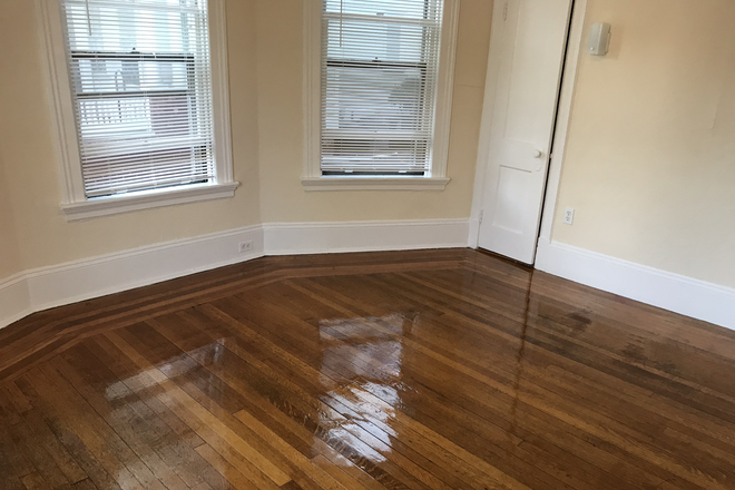 main living area - Studio, Walk to Wayland Square, Brown University $1,500 - Avail. July 1st Apartments