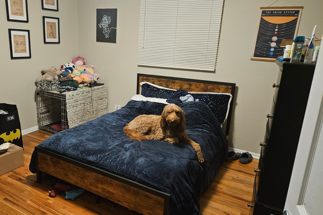 Bedroom for rent (dog not included) - 3-bedroom house close to campus